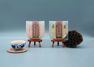 避暑山庄夹进书里 纸上的青山与流年