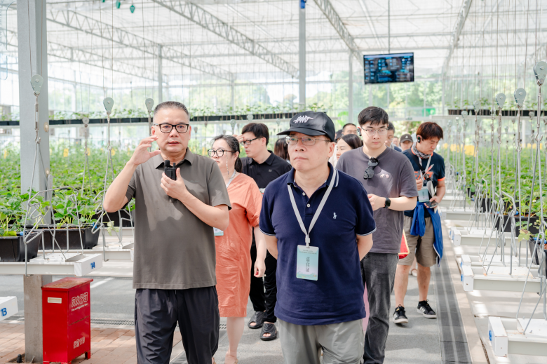 太美了！2025世界温州人文艺家赴楠溪江创作采风纪实